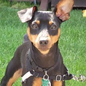 Meet your Posher, Marcos